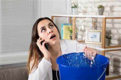 Woman on phone holding bucket catching water