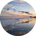 sheri d. Avatar